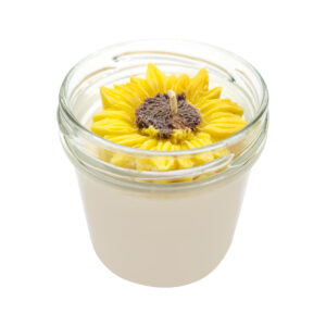 Slunečnice otáčí se za sluncem